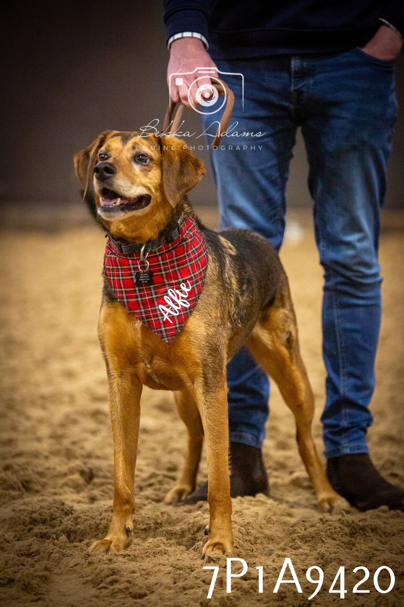 JHOYS 2025 - Dog Show - 12th September