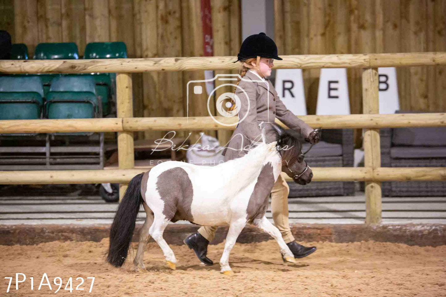 Home Farm Spring Show - Inhand Showing 23rd March 2024 - Part 1