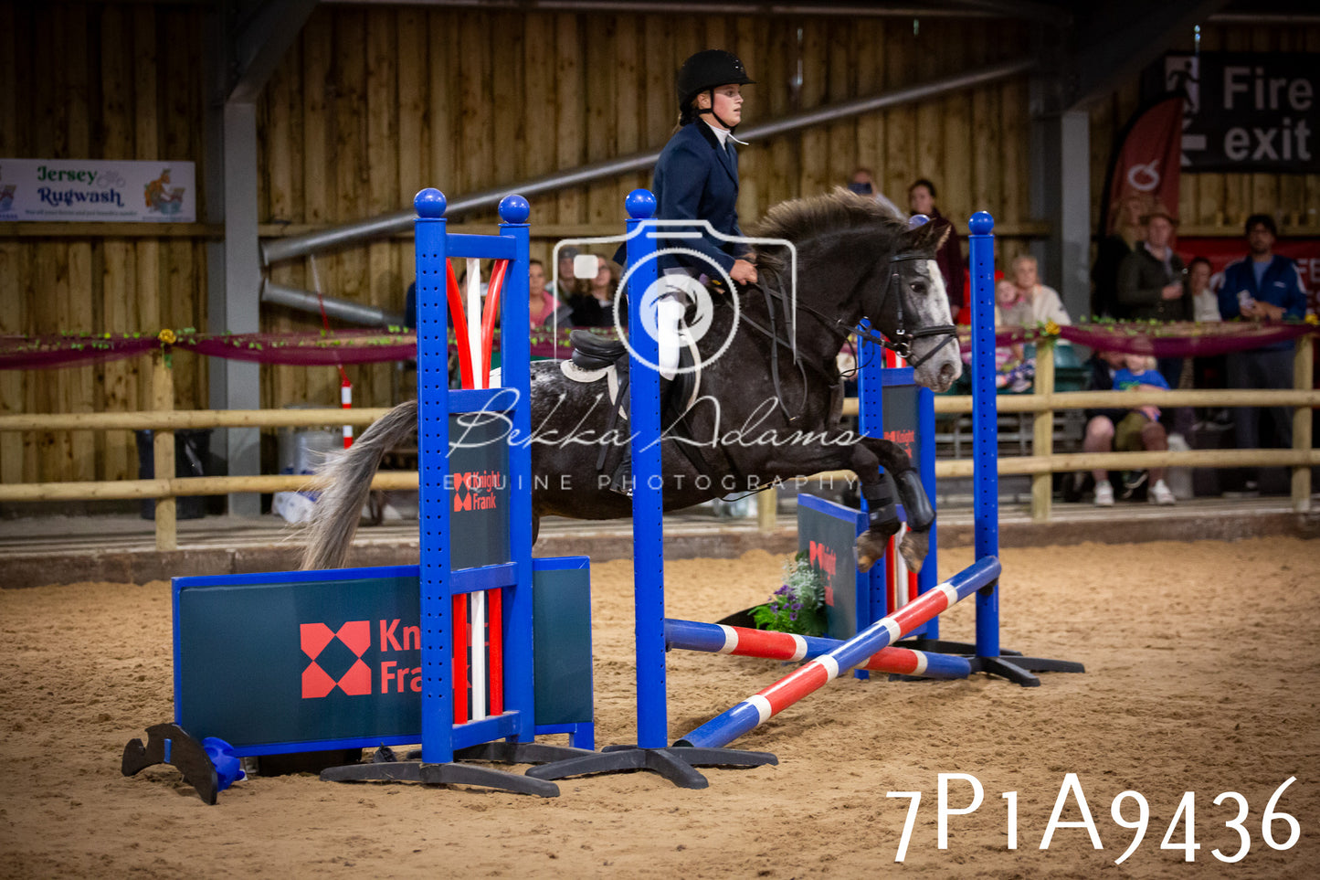 JHOYS 2025 - Senior Show Jumping - 21st September