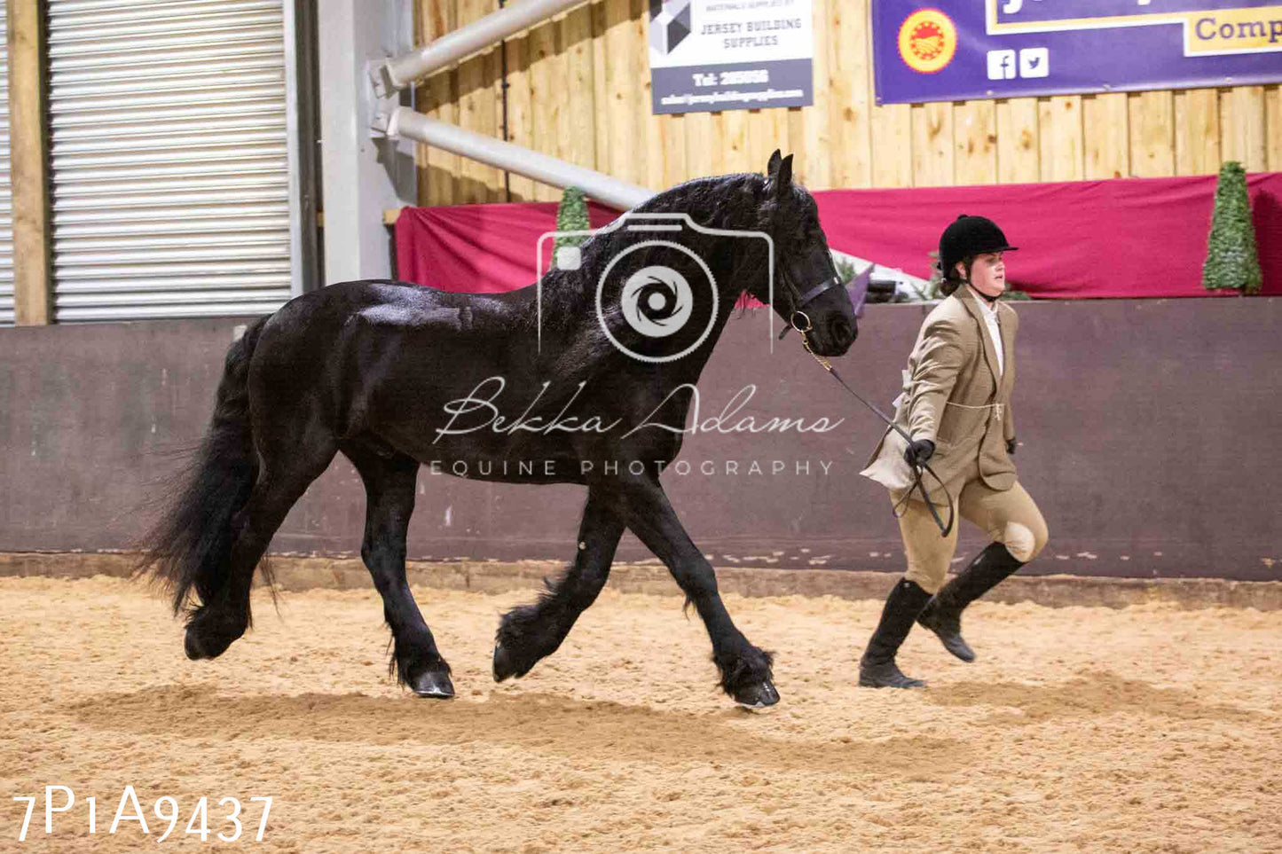 Home Farm Spring Show - Inhand Showing 23rd March 2024 - Part 1