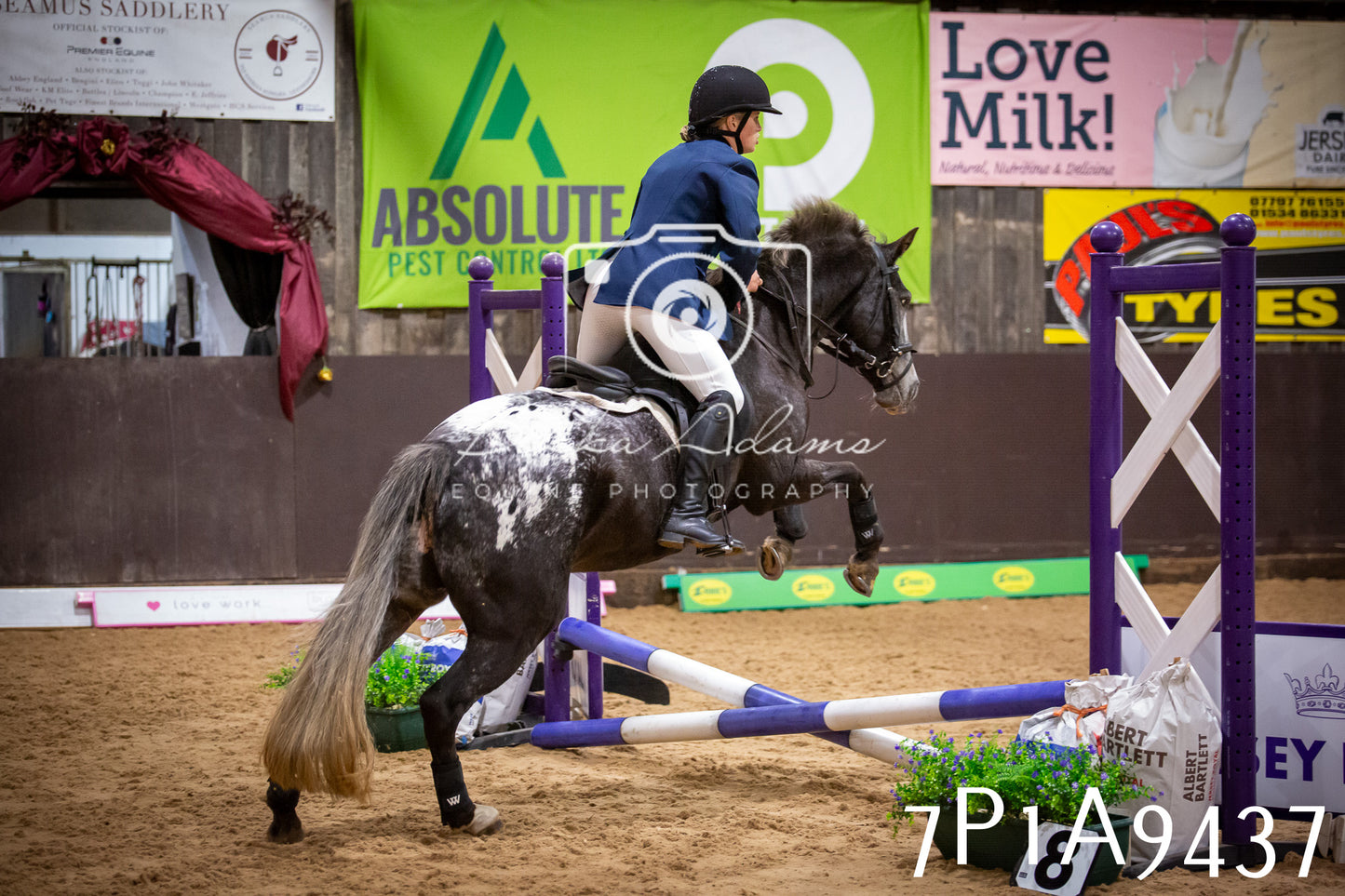 JHOYS 2025 - Senior Show Jumping - 21st September
