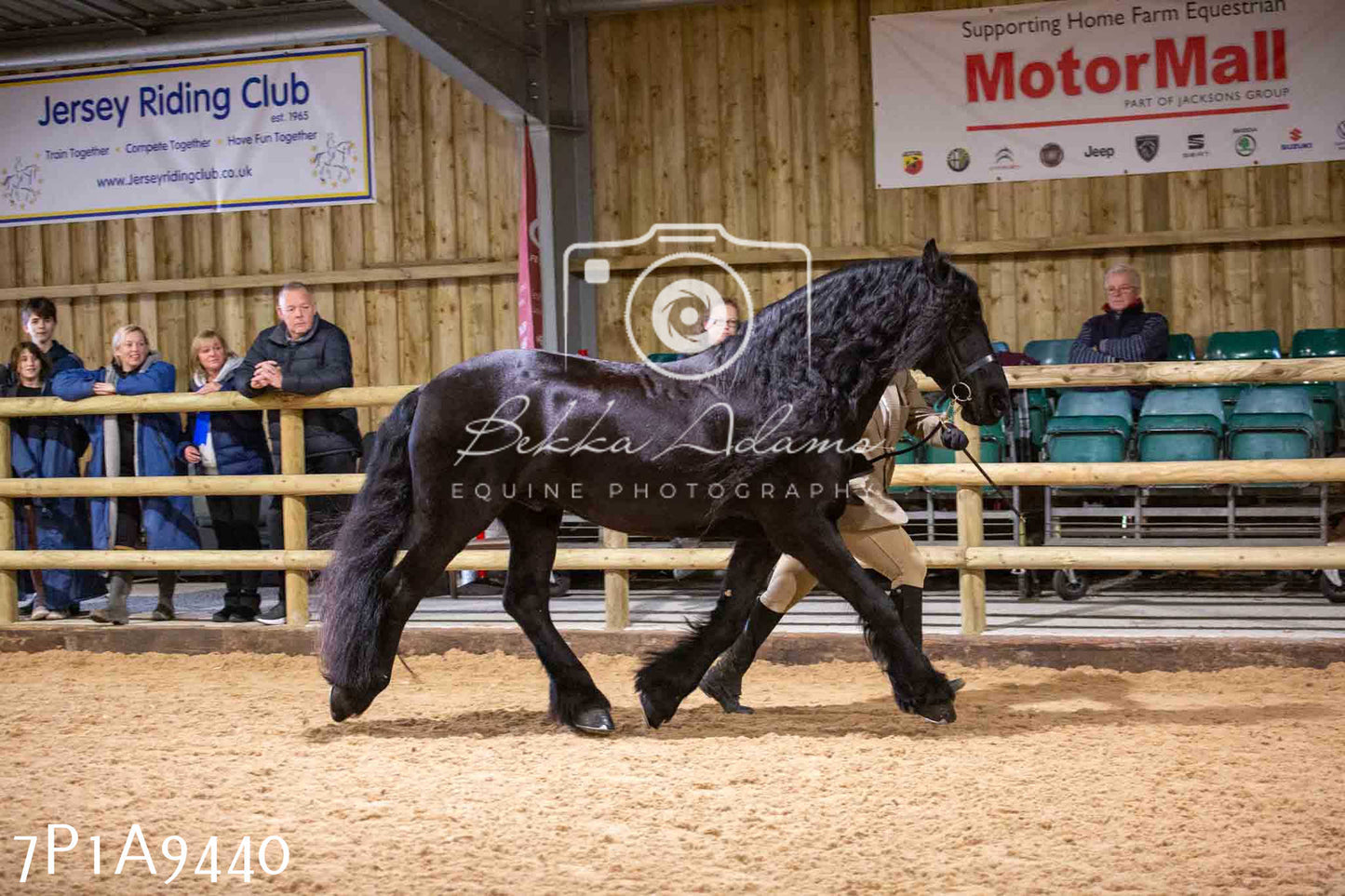 Home Farm Spring Show - Inhand Showing 23rd March 2024 - Part 1
