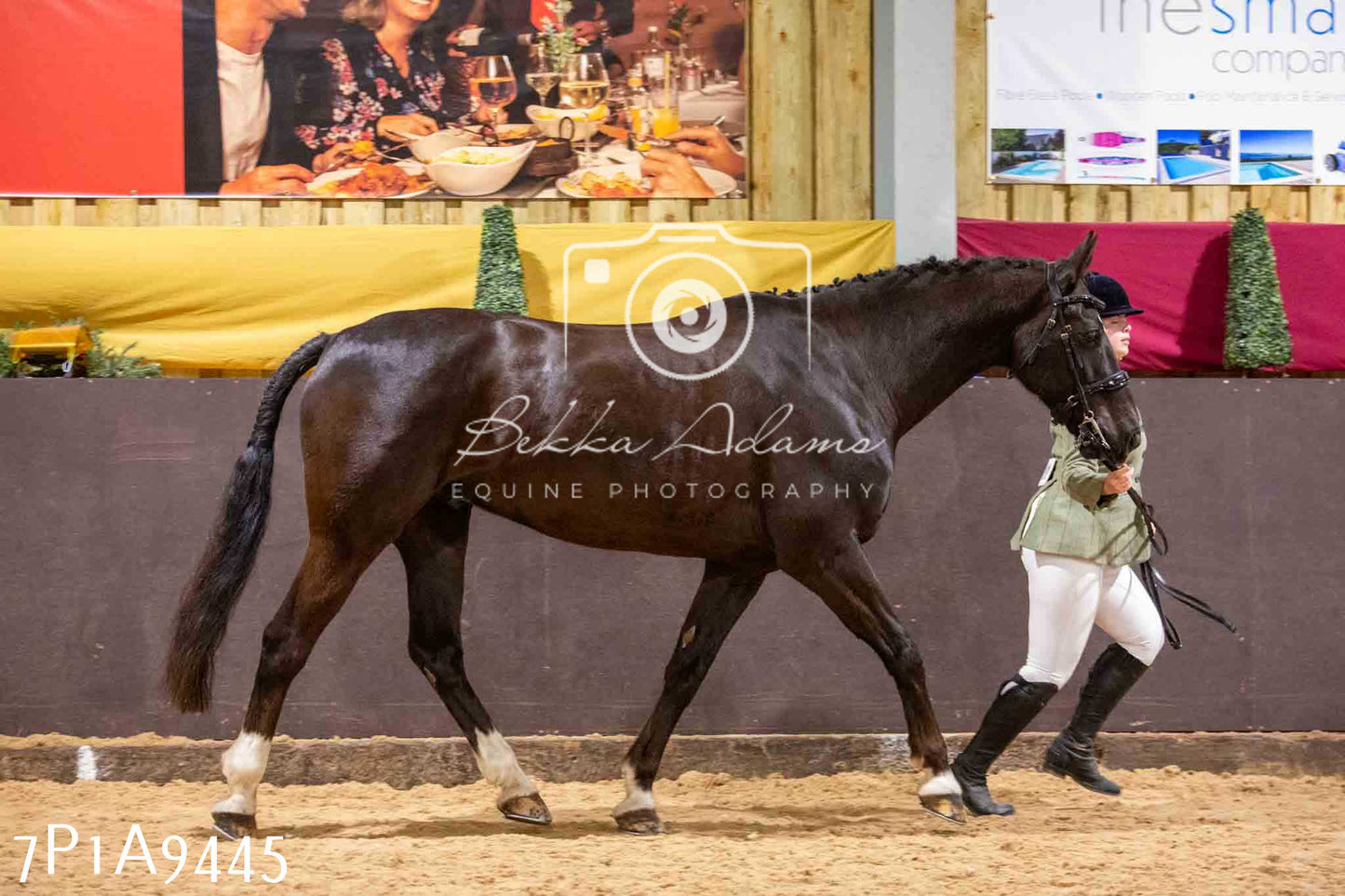 Home Farm Spring Show - Inhand Showing 23rd March 2024 - Part 1