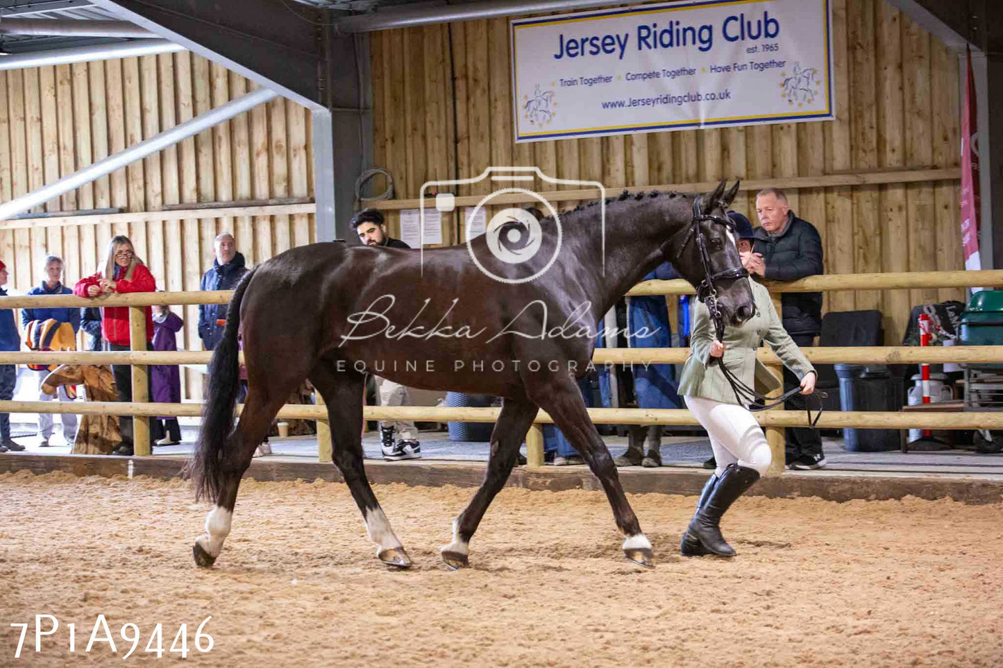 Home Farm Spring Show - Inhand Showing 23rd March 2024 - Part 1