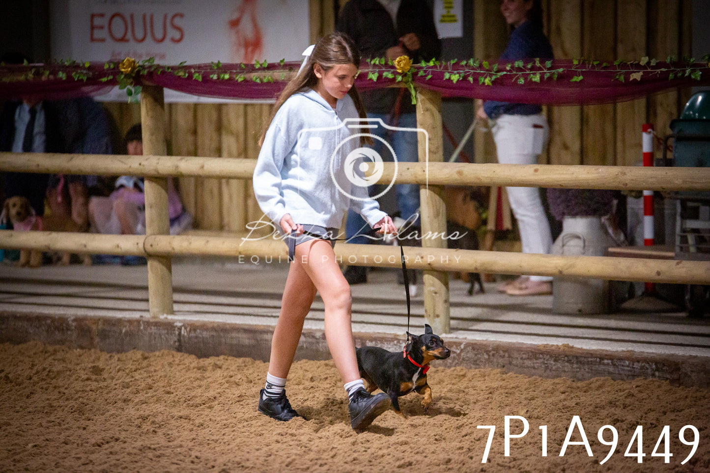JHOYS 2025 - Dog Show - 12th September