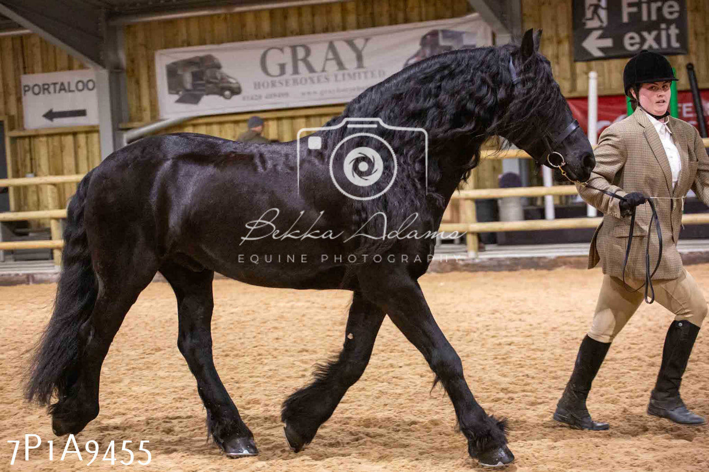 Home Farm Spring Show - Inhand Showing 23rd March 2024 - Part 1