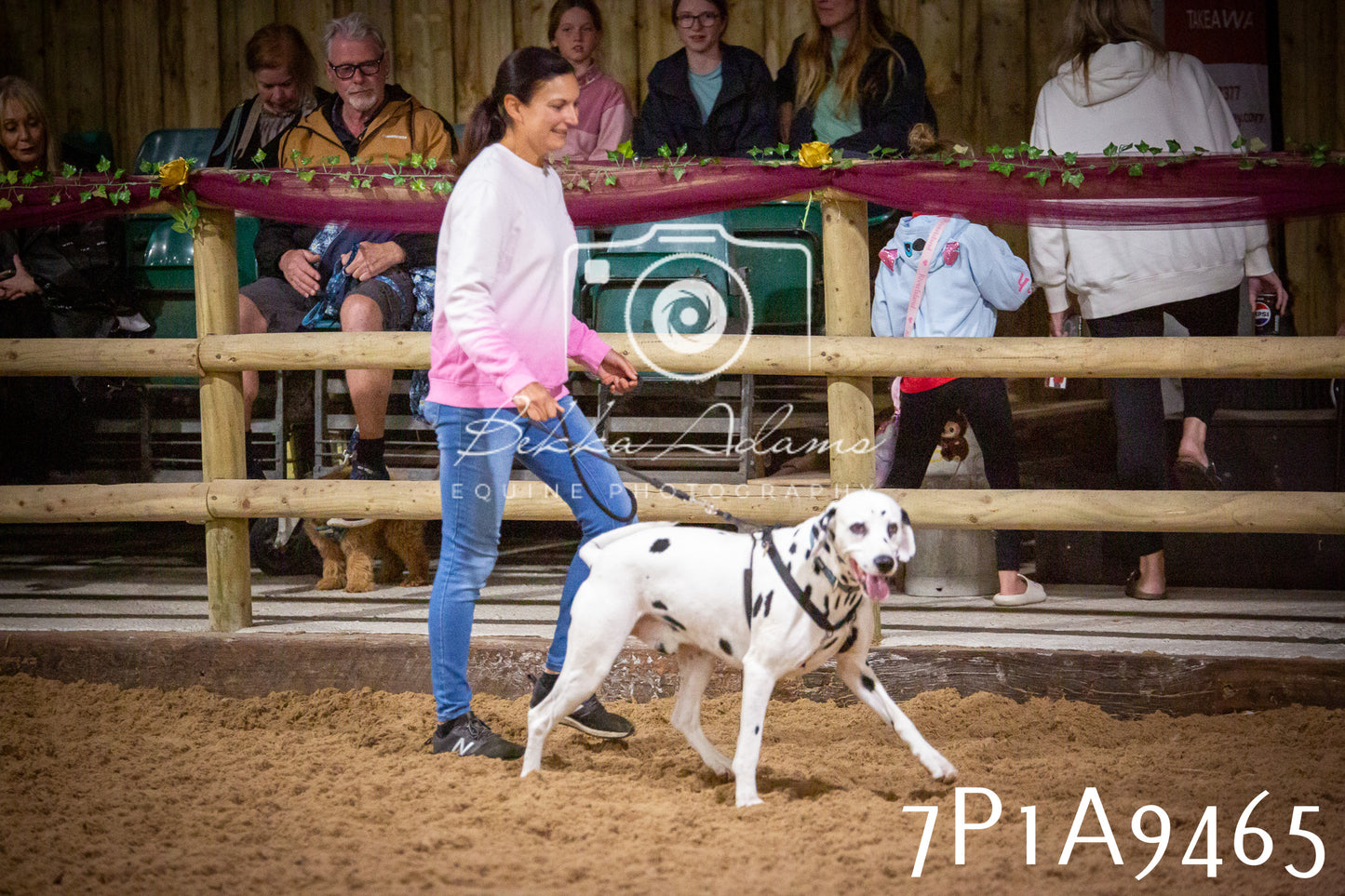 JHOYS 2025 - Dog Show - 12th September