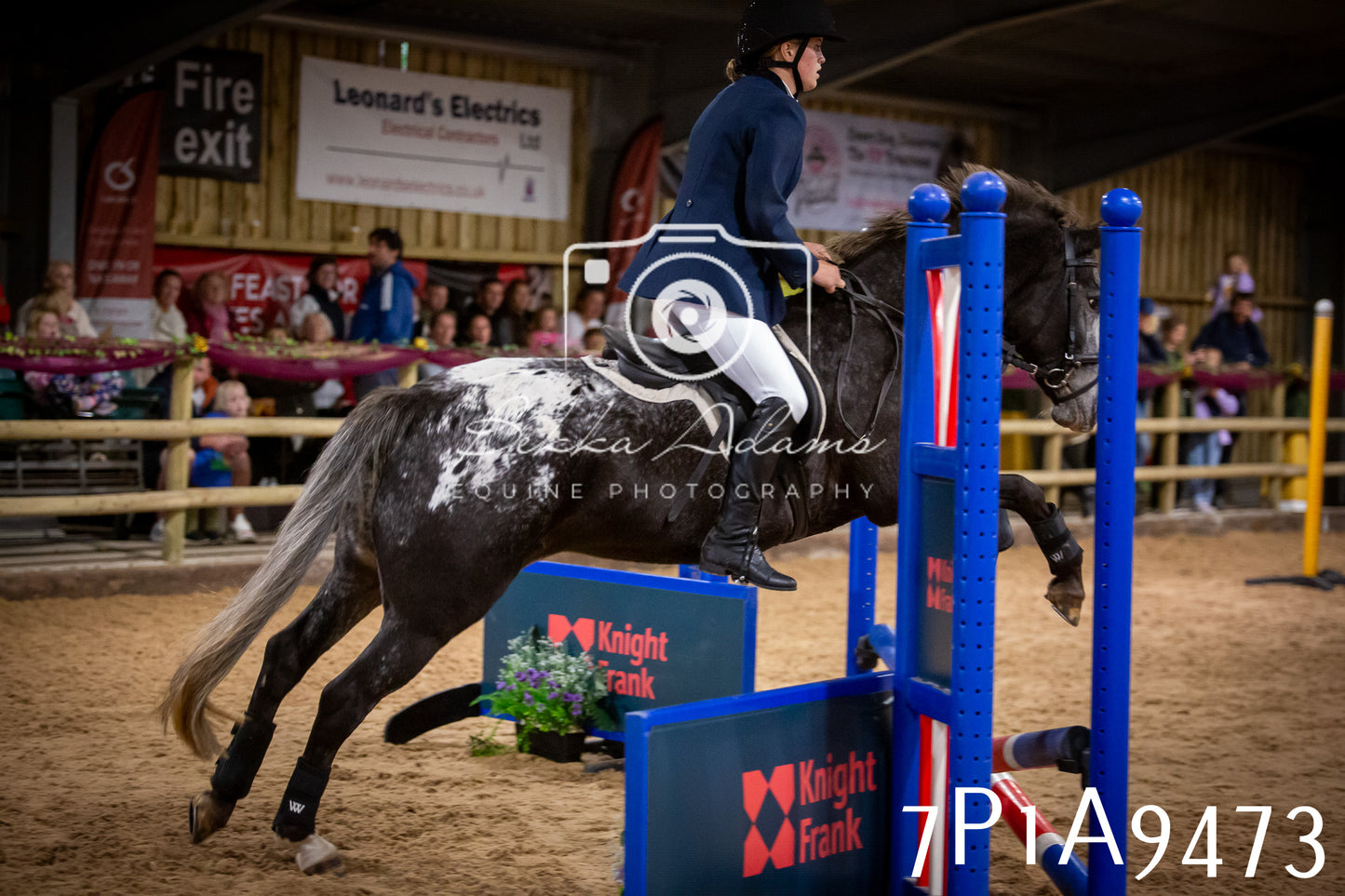 JHOYS 2025 - Senior Show Jumping - 21st September