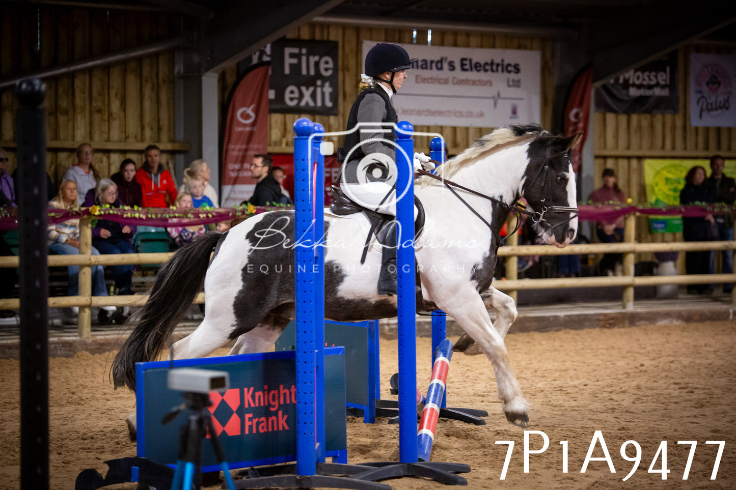 JHOYS 2025 - Senior Show Jumping - 21st September