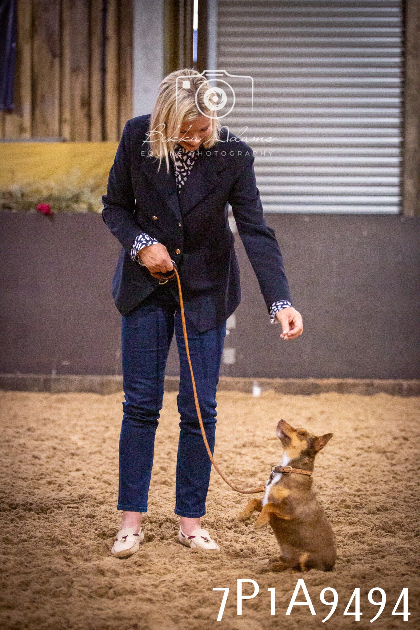 JHOYS 2025 - Dog Show - 12th September