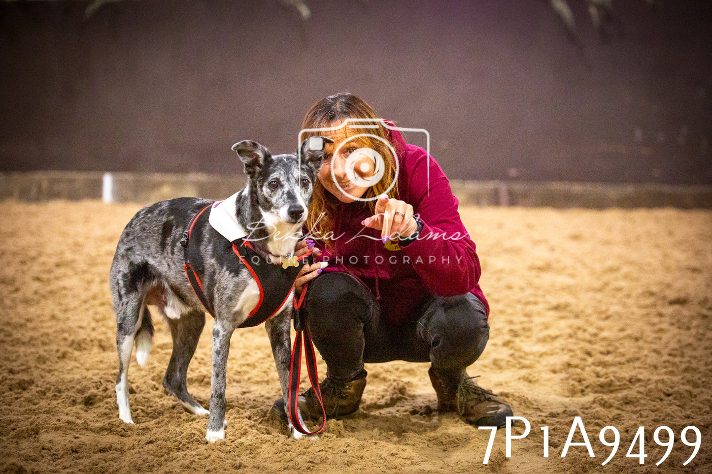 JHOYS 2025 - Dog Show - 12th September