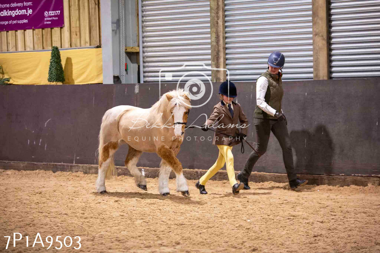 Home Farm Spring Show - Inhand Showing 23rd March 2024 - Part 2