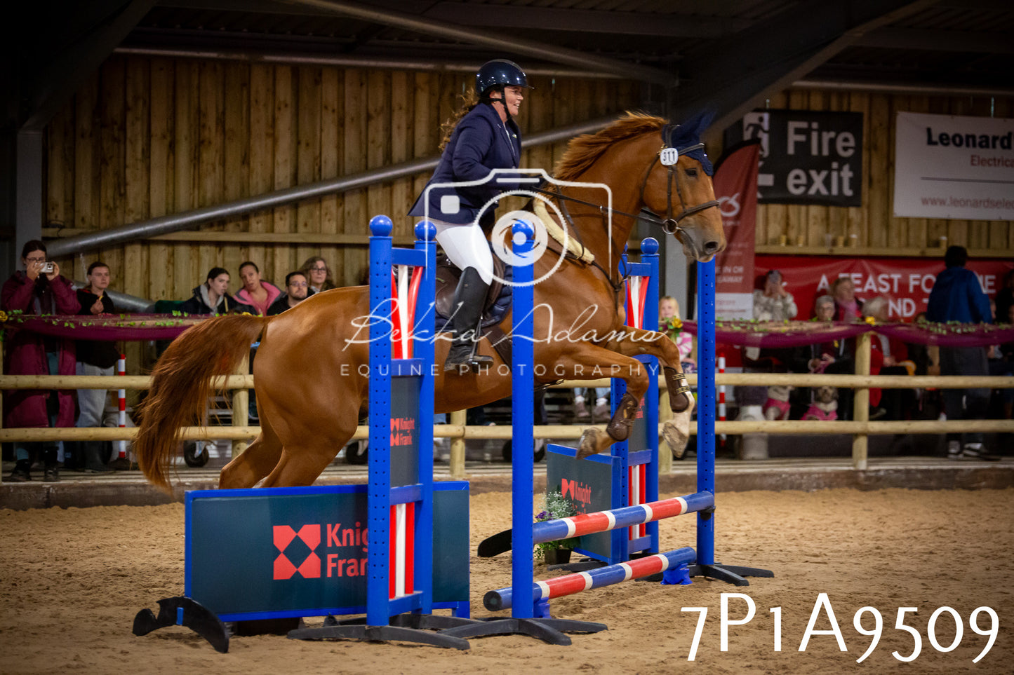JHOYS 2025 - Senior Show Jumping - 21st September