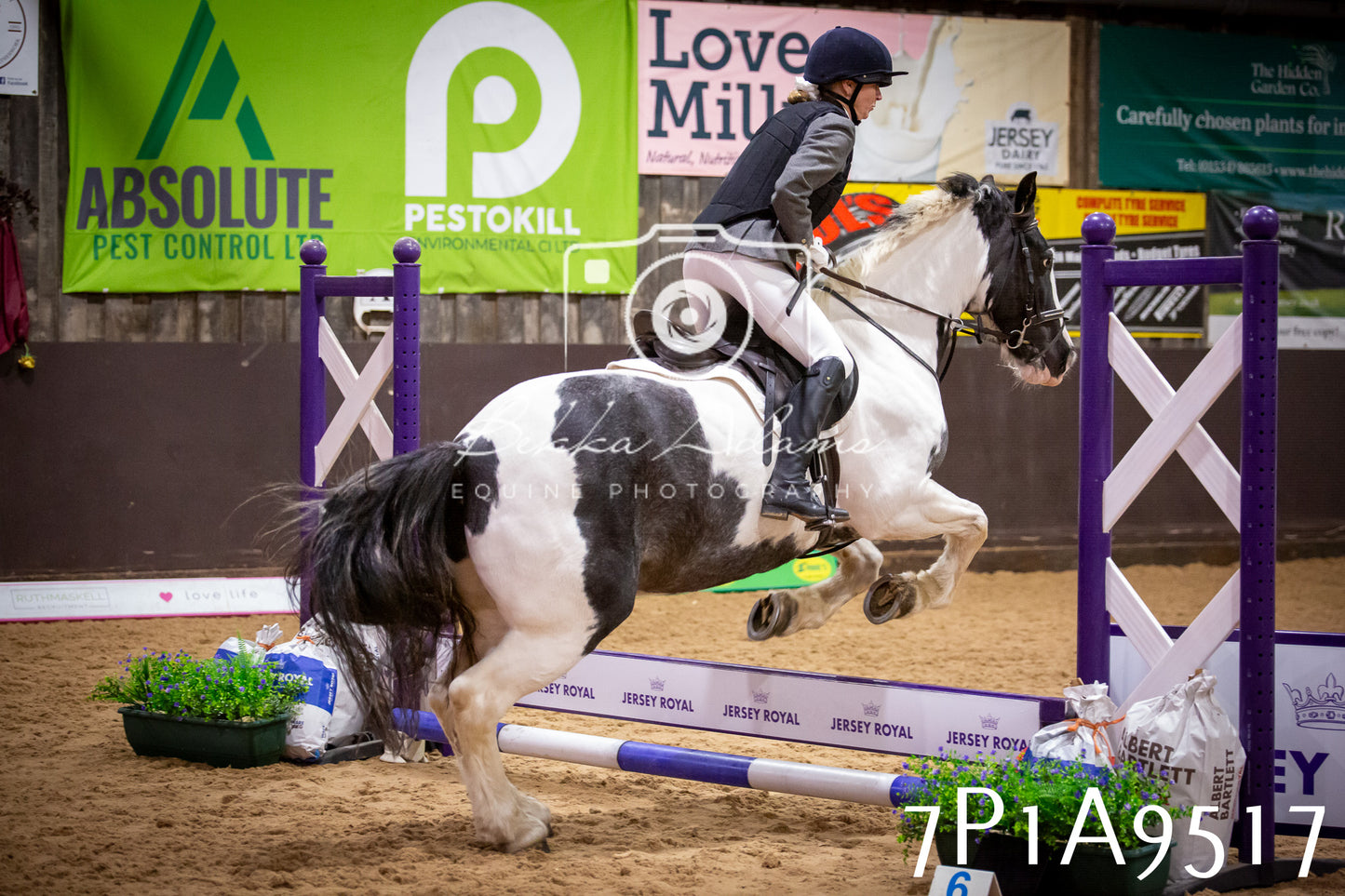 JHOYS 2025 - Senior Show Jumping - 21st September
