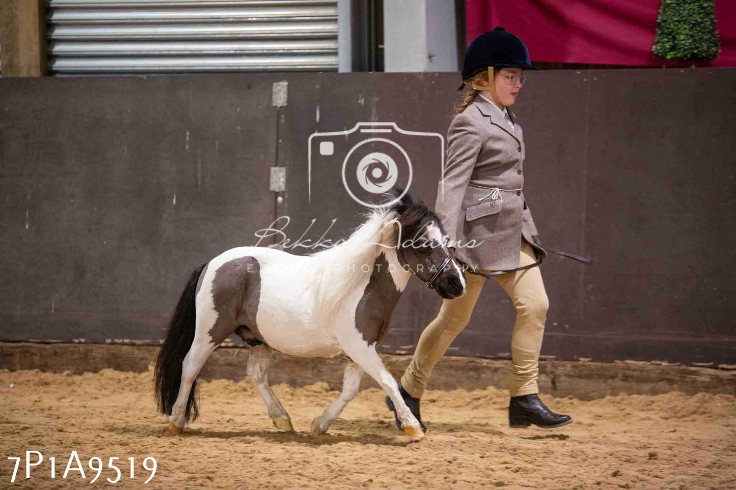 Home Farm Spring Show - Inhand Showing 23rd March 2024 - Part 2