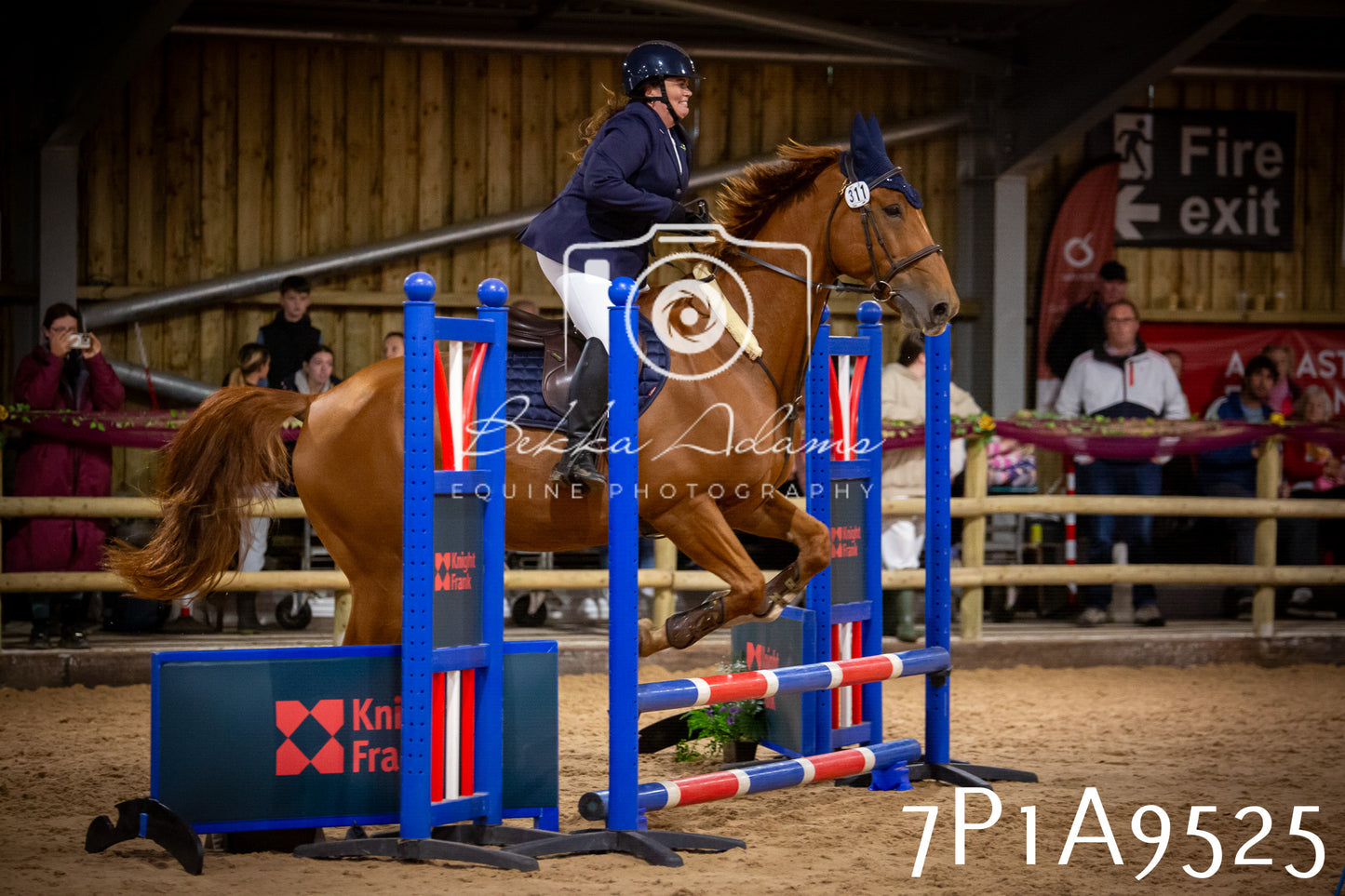 JHOYS 2025 - Senior Show Jumping - 21st September