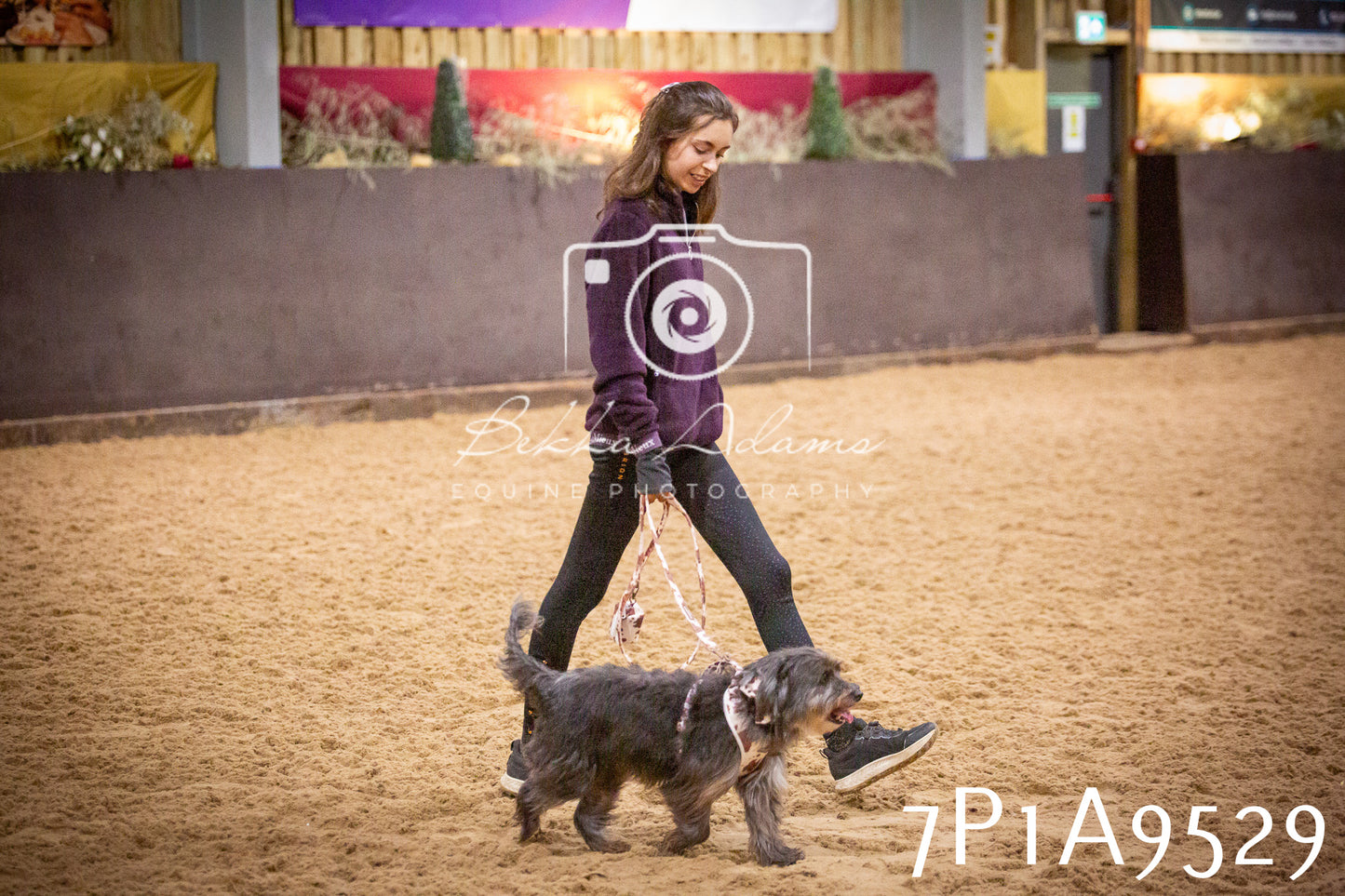 JHOYS 2025 - Dog Show - 12th September
