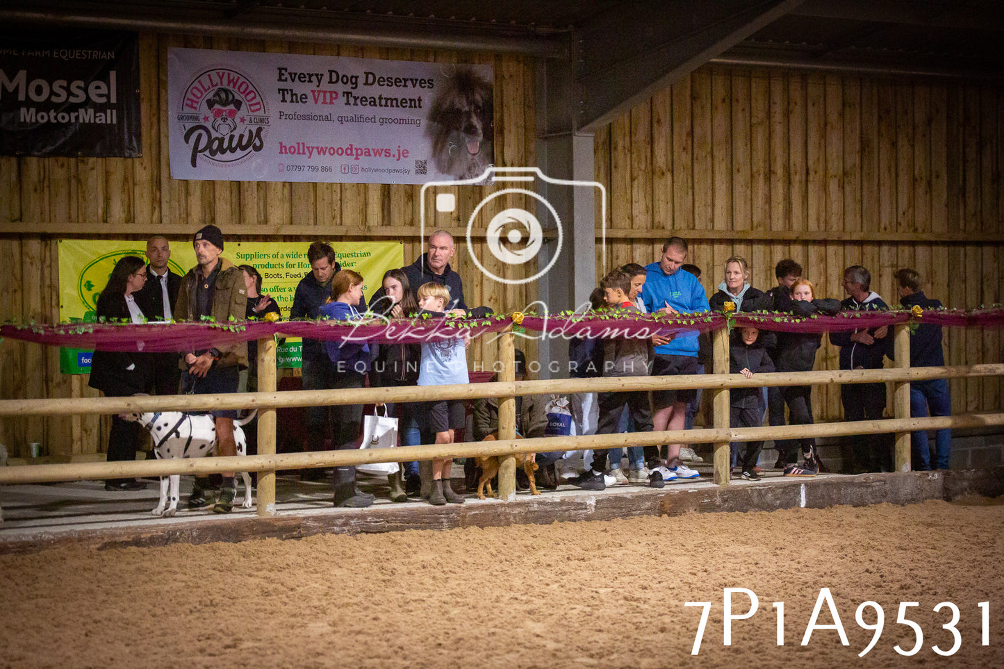 JHOYS 2025 - Dog Show - 12th September
