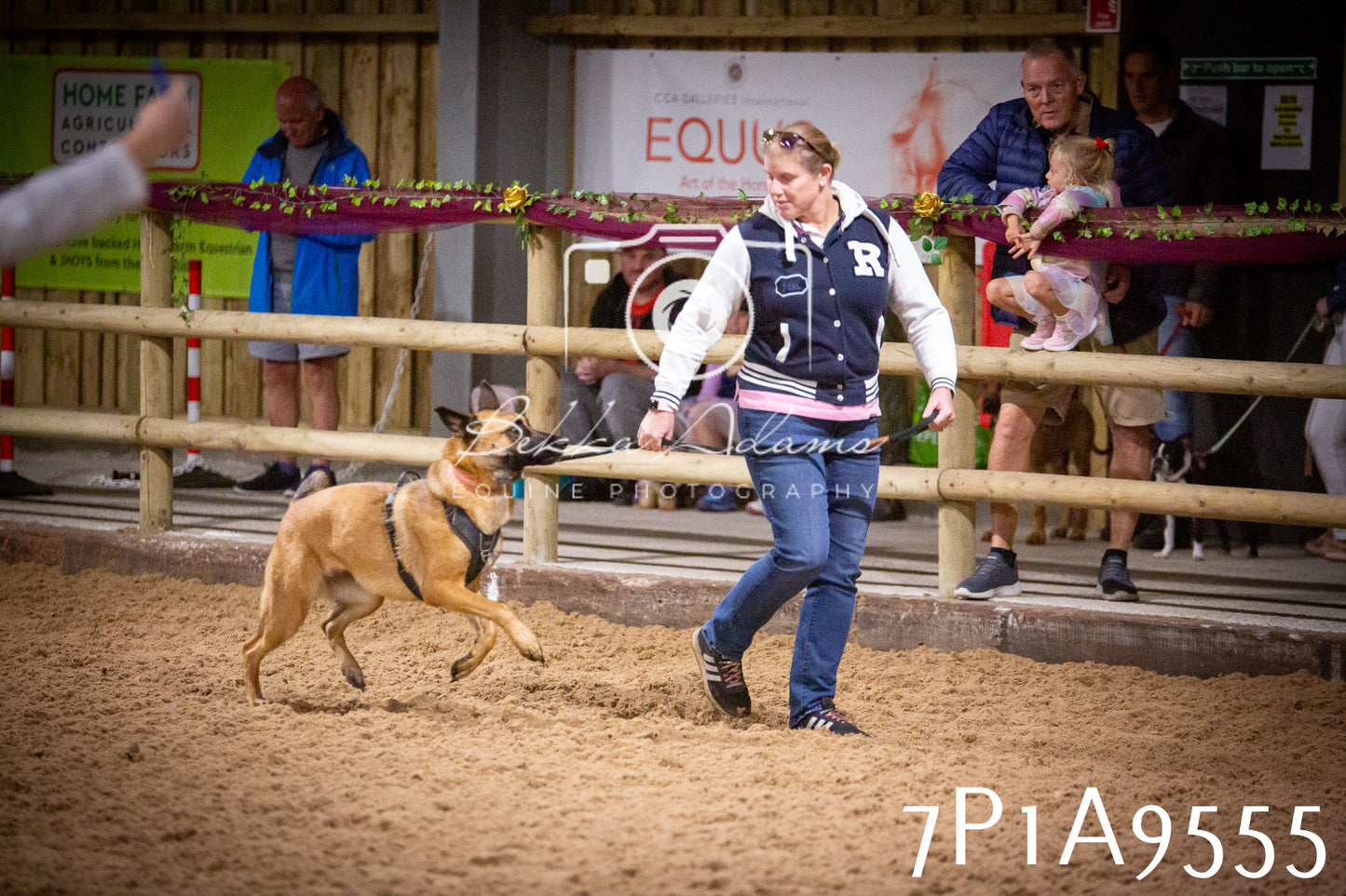 JHOYS 2025 - Dog Show - 12th September