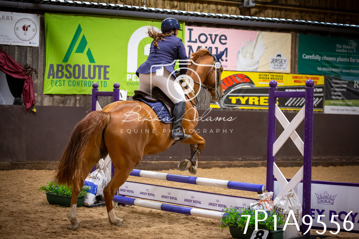 JHOYS 2025 - Senior Show Jumping - 21st September