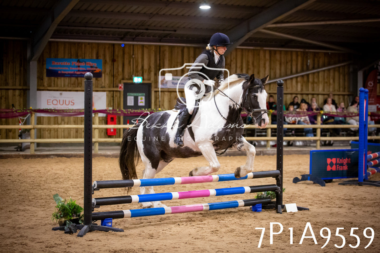 JHOYS 2025 - Senior Show Jumping - 21st September