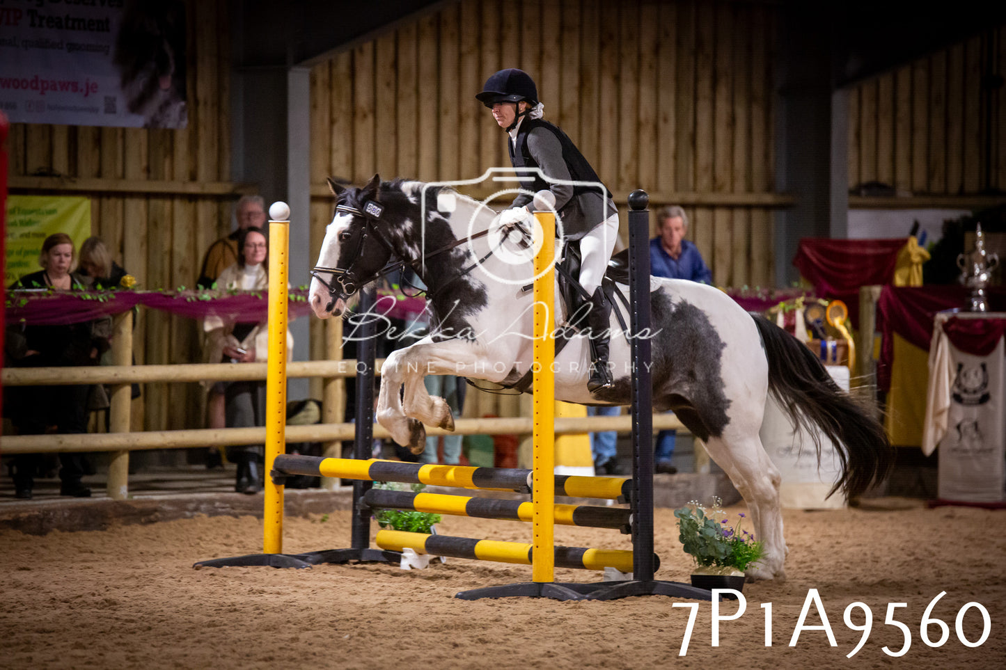 JHOYS 2025 - Senior Show Jumping - 21st September