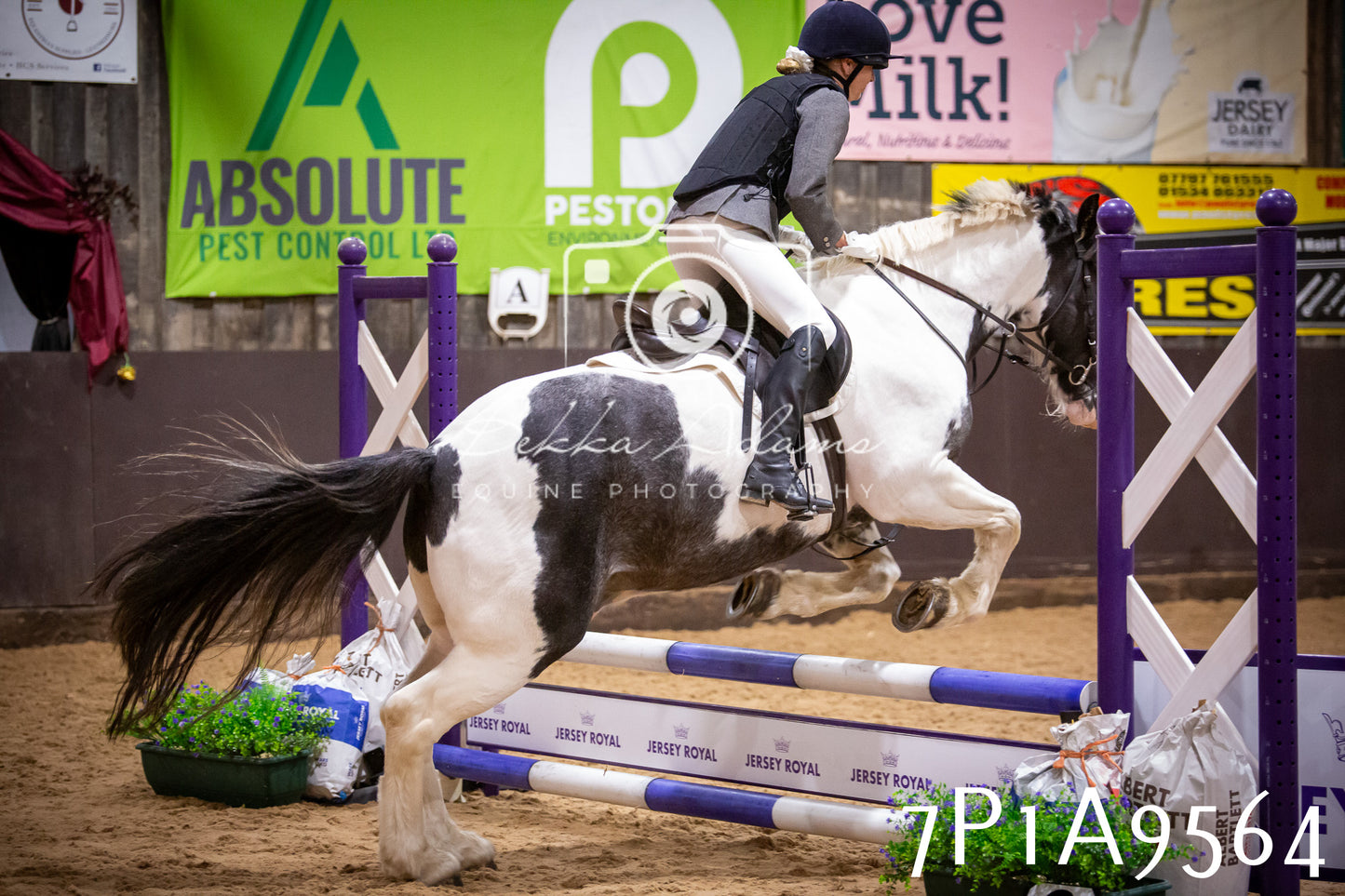 JHOYS 2025 - Senior Show Jumping - 21st September