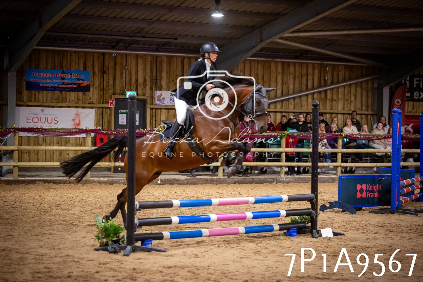 JHOYS 2025 - Senior Show Jumping - 21st September