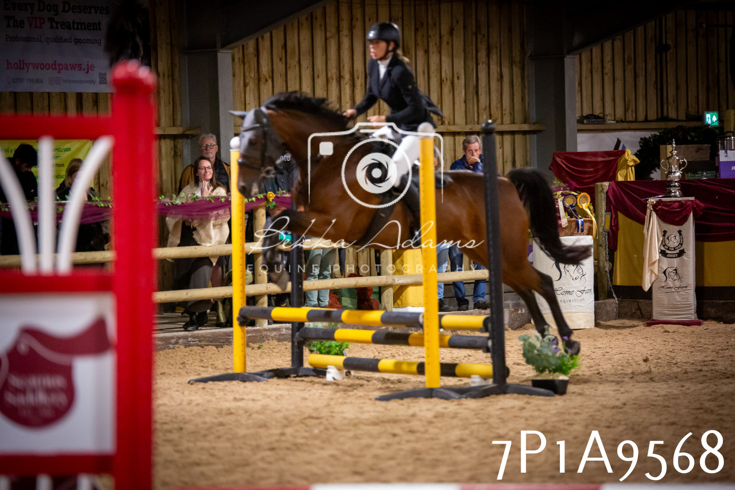 JHOYS 2025 - Senior Show Jumping - 21st September