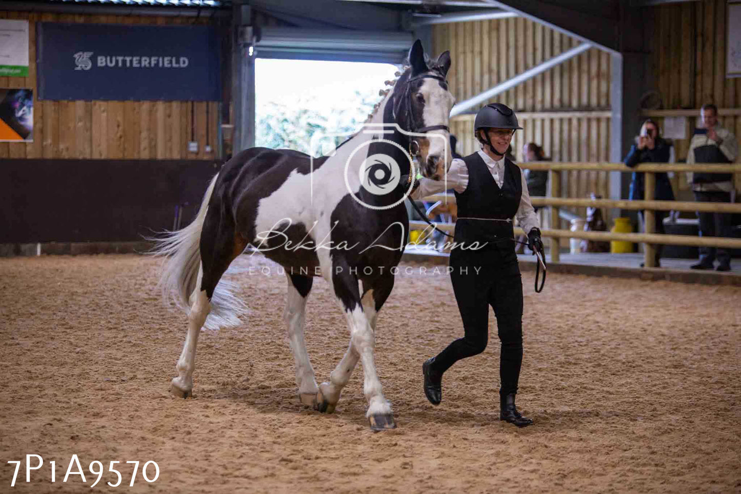 Home Farm Spring Show - Inhand Showing 23rd March 2024 - Part 2