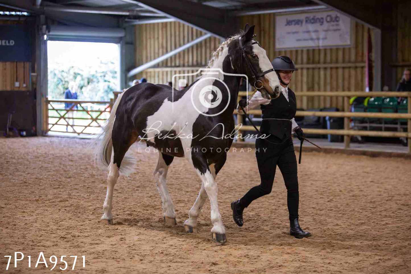 Home Farm Spring Show - Inhand Showing 23rd March 2024 - Part 2