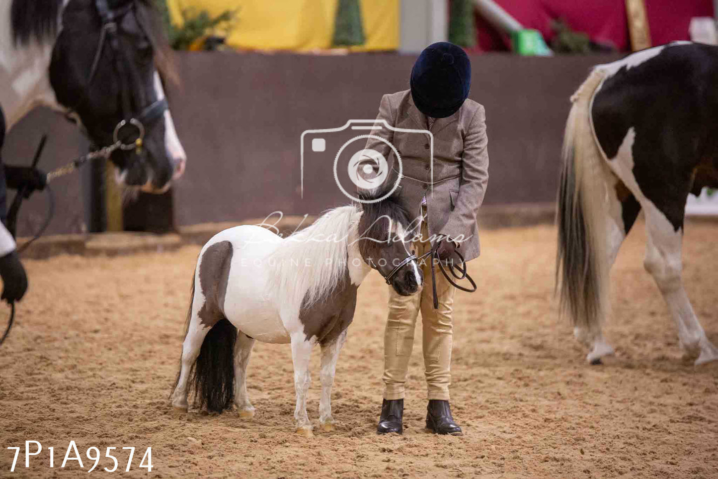 Home Farm Spring Show - Inhand Showing 23rd March 2024 - Part 2
