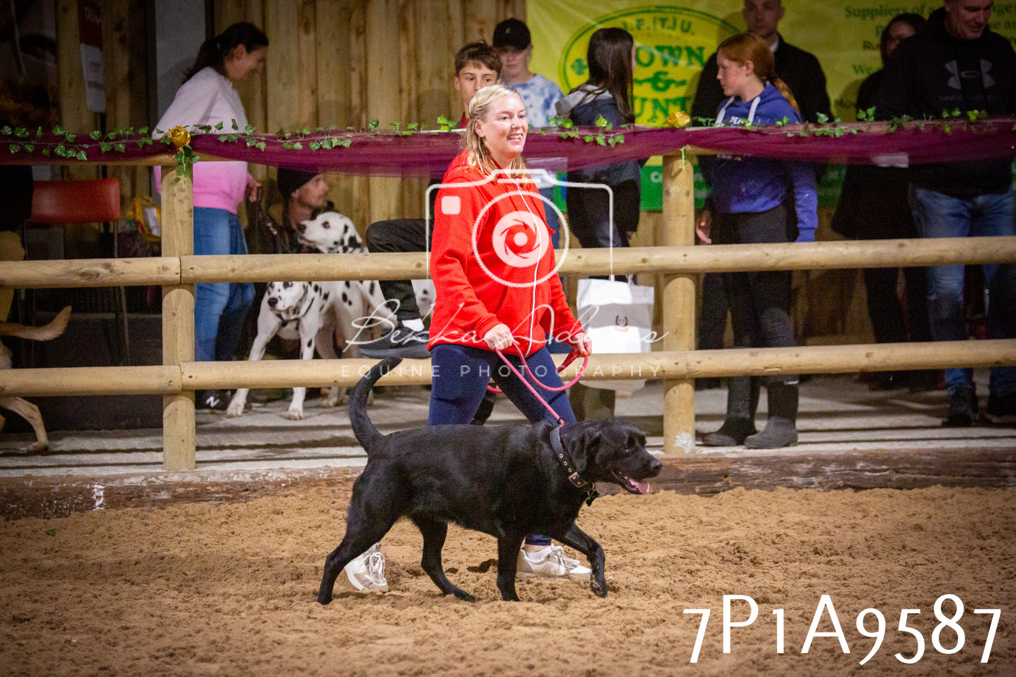 JHOYS 2025 - Dog Show - 12th September