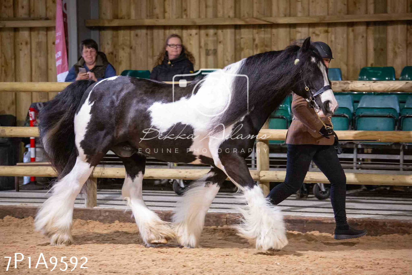 Home Farm Spring Show - Inhand Showing 23rd March 2024 - Part 2