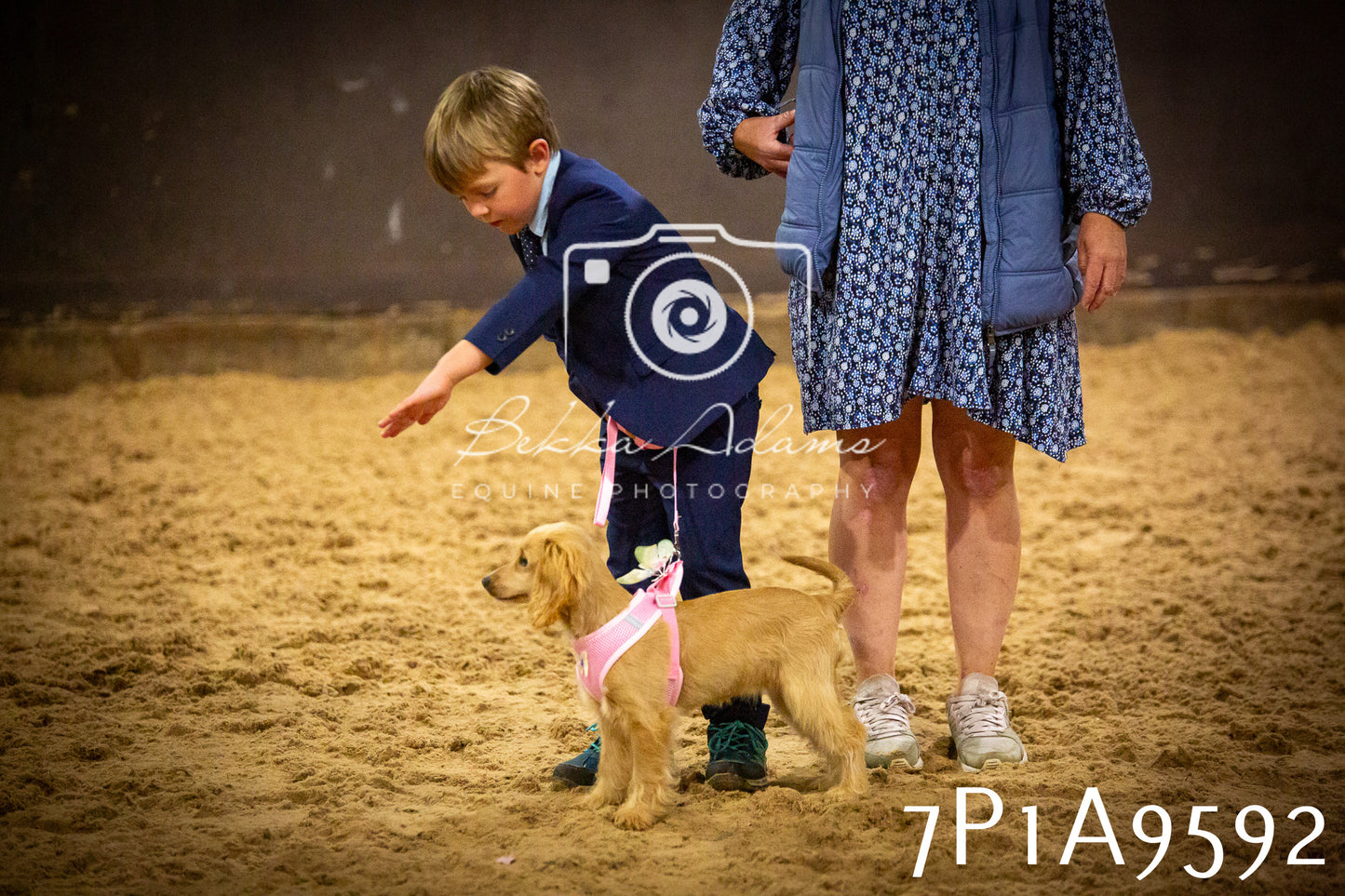 JHOYS 2025 - Dog Show - 12th September