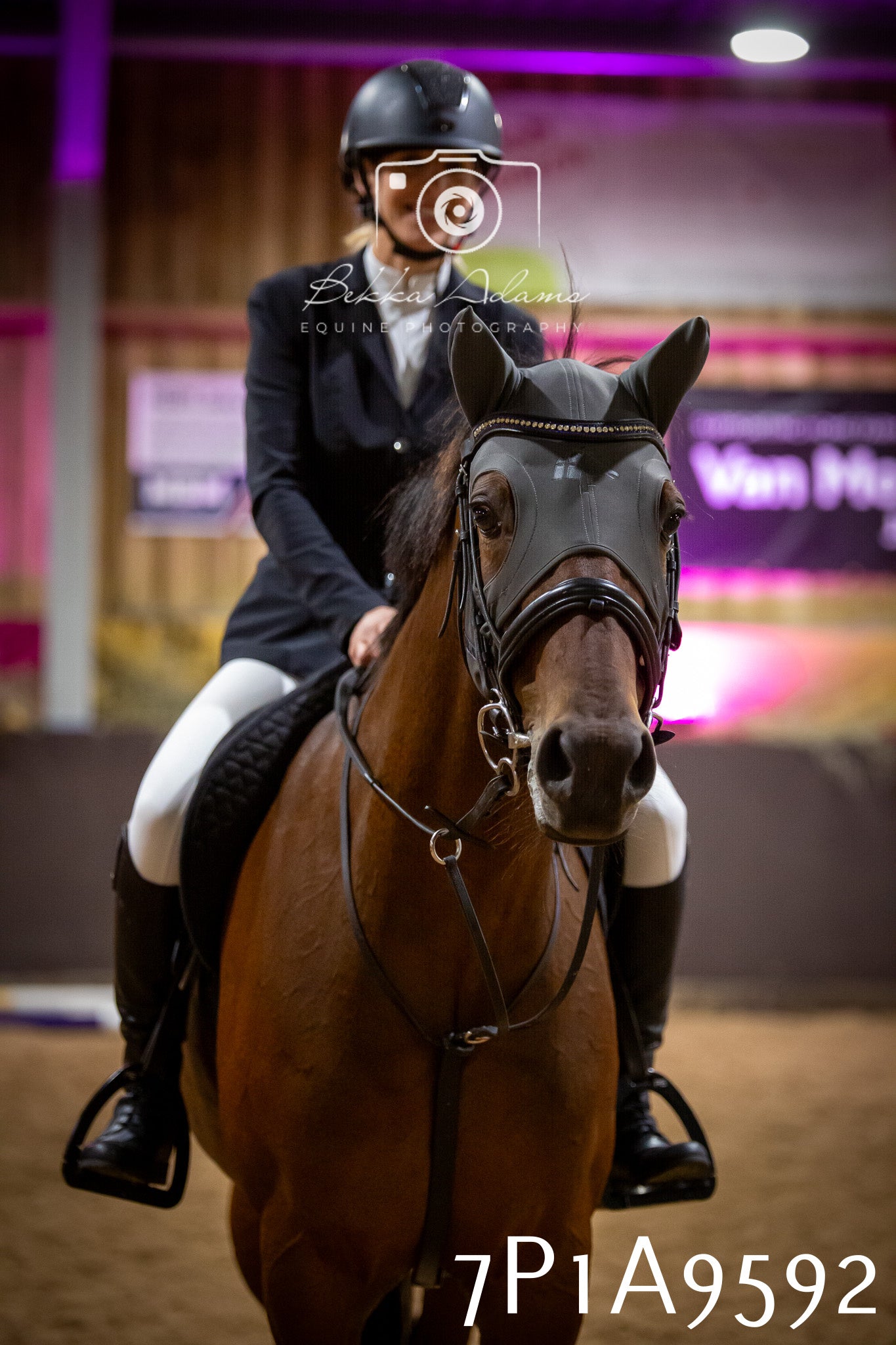 JHOYS 2025 - Senior Show Jumping - 21st September
