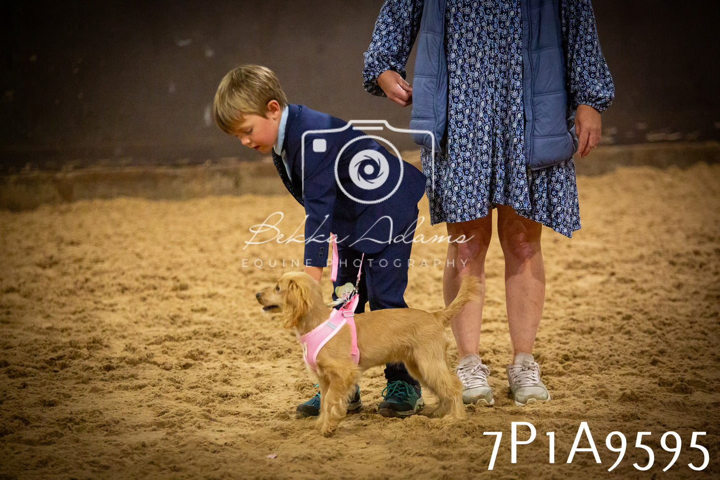 JHOYS 2025 - Dog Show - 12th September