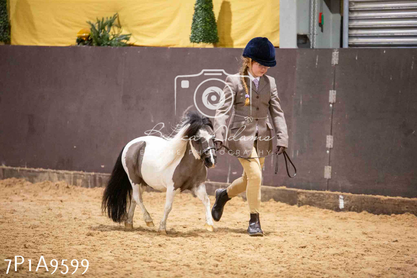 Home Farm Spring Show - Inhand Showing 23rd March 2024 - Part 2
