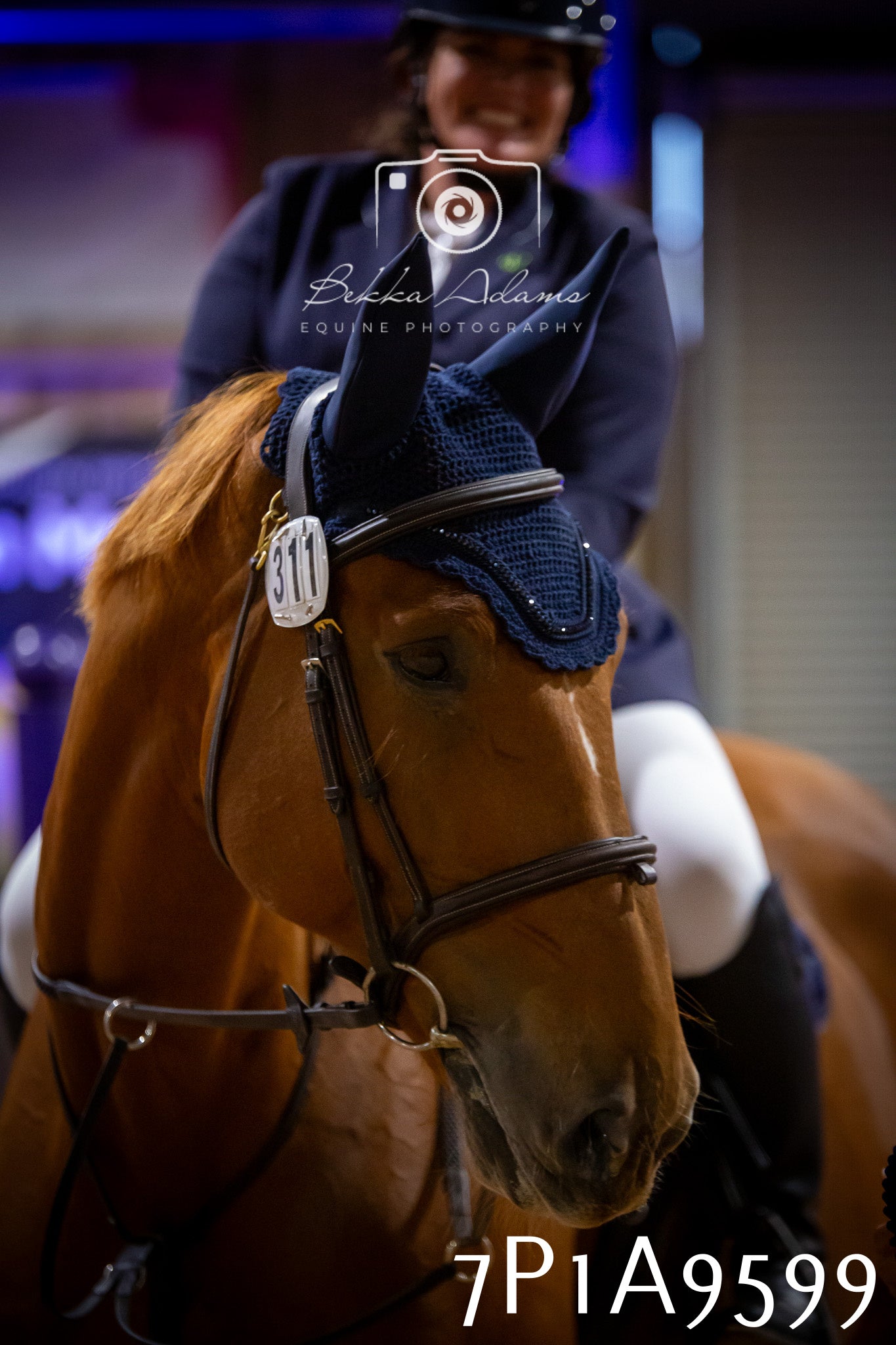 JHOYS 2025 - Senior Show Jumping - 21st September