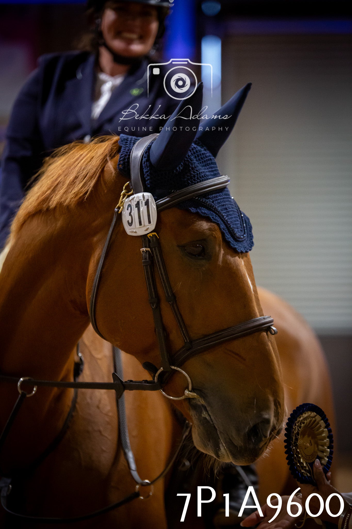 JHOYS 2025 - Senior Show Jumping - 21st September