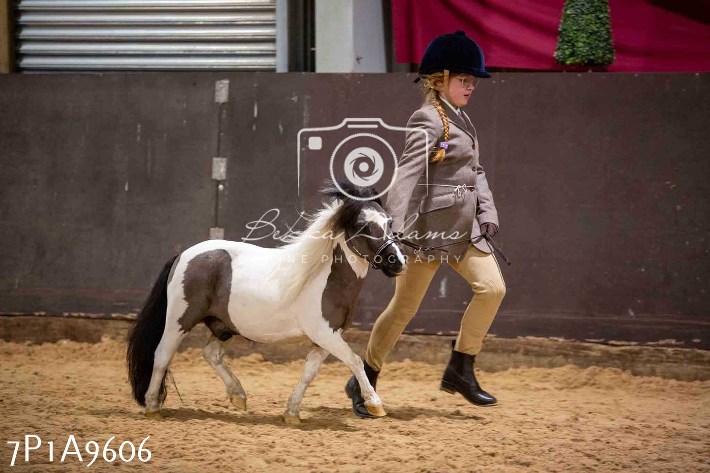 Home Farm Spring Show - Inhand Showing 23rd March 2024 - Part 2