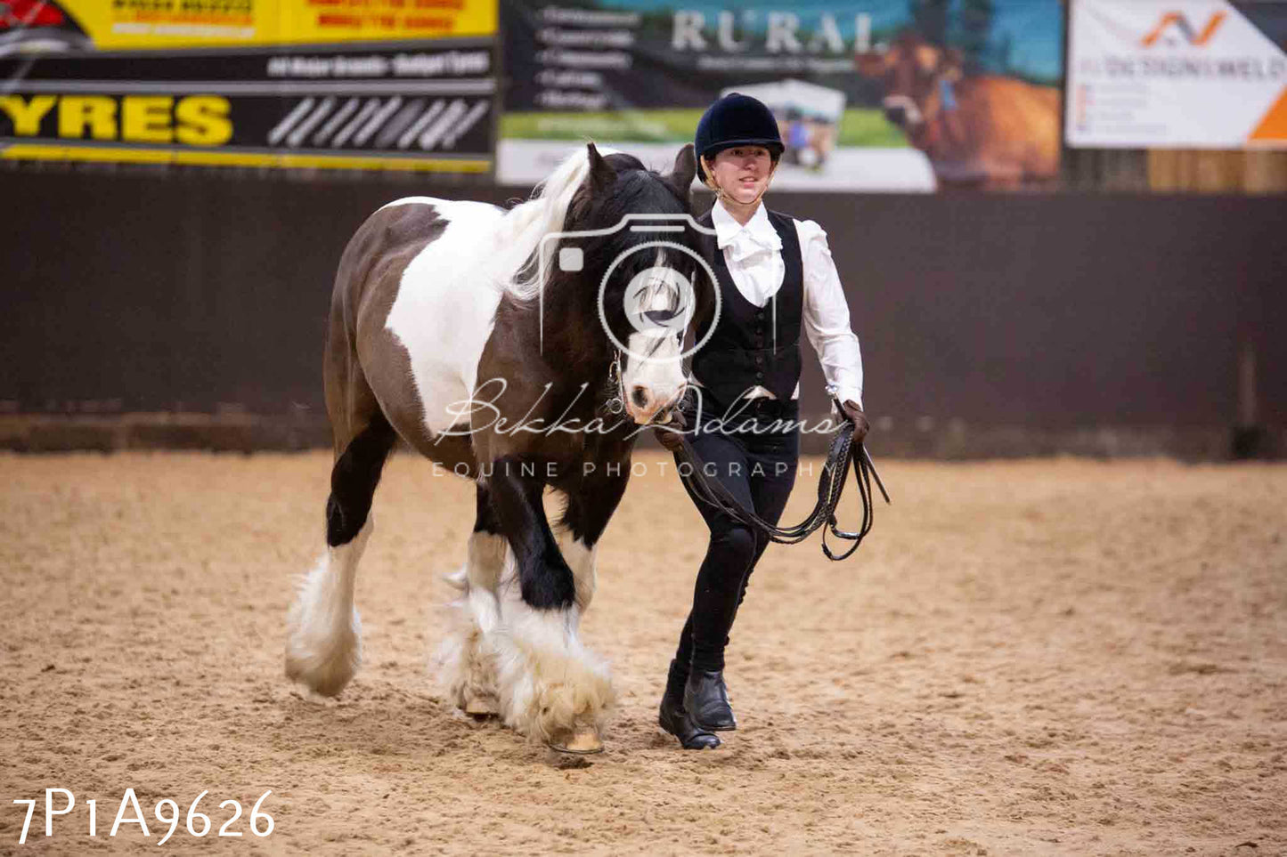 Home Farm Spring Show - Inhand Showing 23rd March 2024 - Part 2