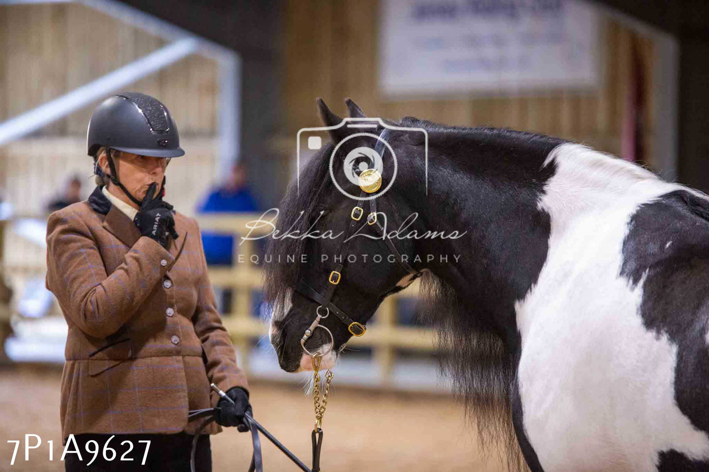 Home Farm Spring Show - Inhand Showing 23rd March 2024 - Part 2