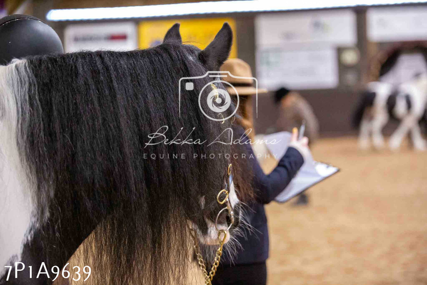 Home Farm Spring Show - Inhand Showing 23rd March 2024 - Part 2