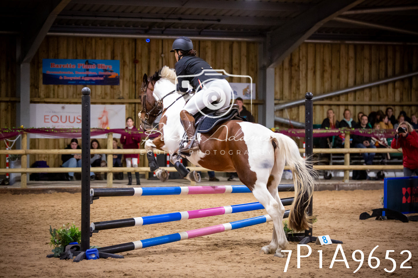 JHOYS 2025 - Senior Show Jumping - 21st September