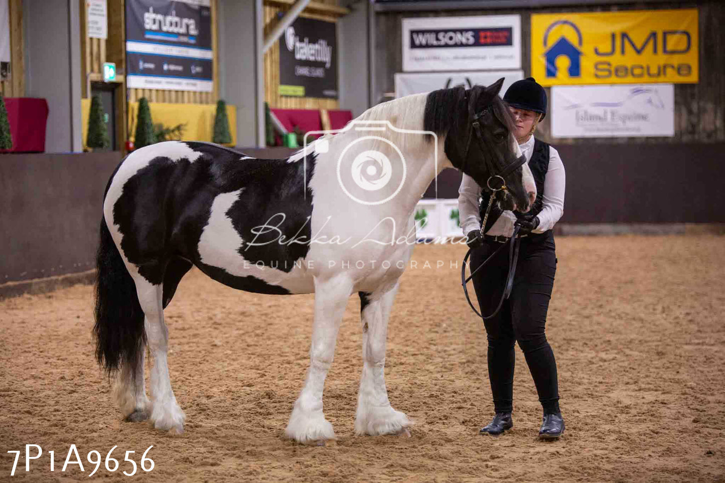 Home Farm Spring Show - Inhand Showing 23rd March 2024 - Part 2