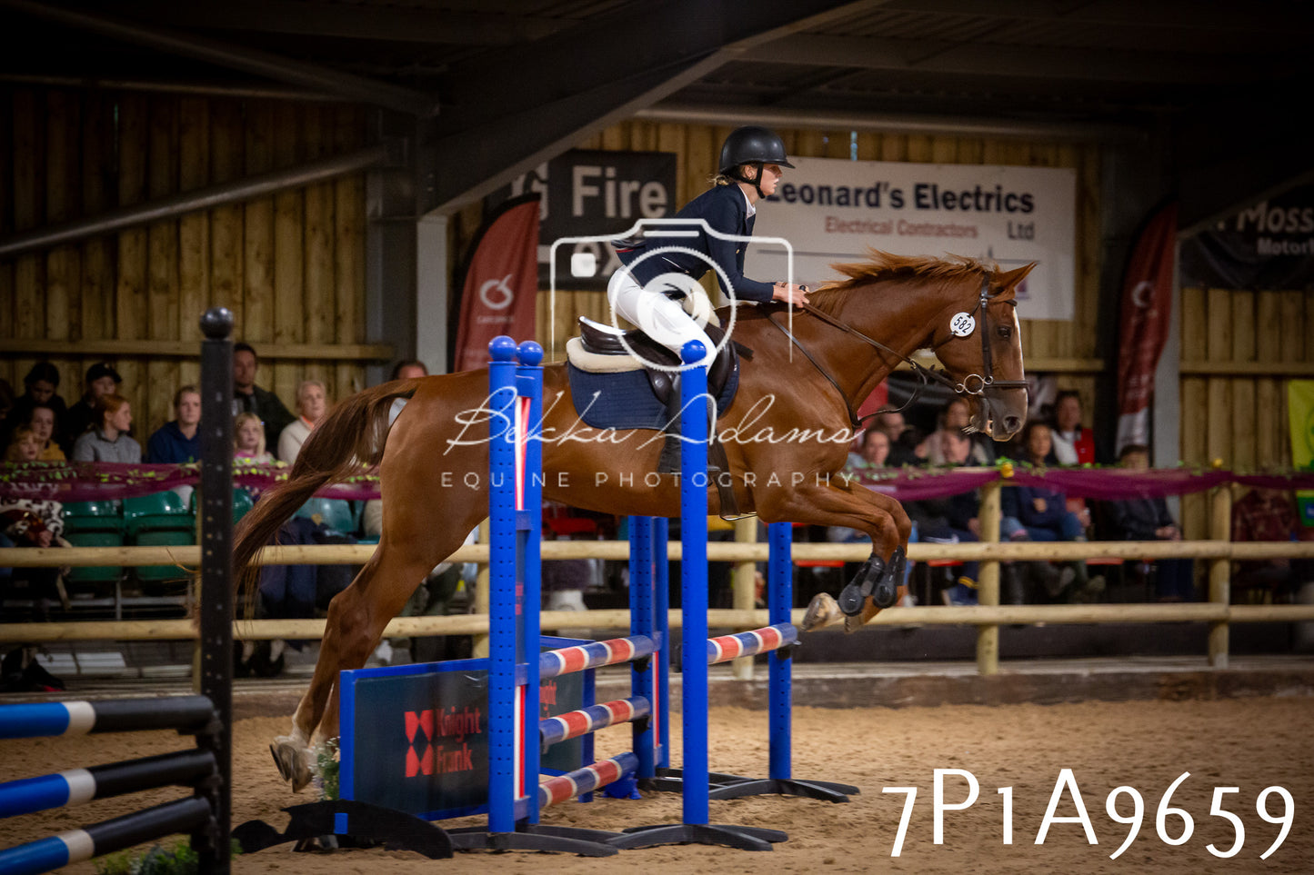 JHOYS 2025 - Senior Show Jumping - 21st September