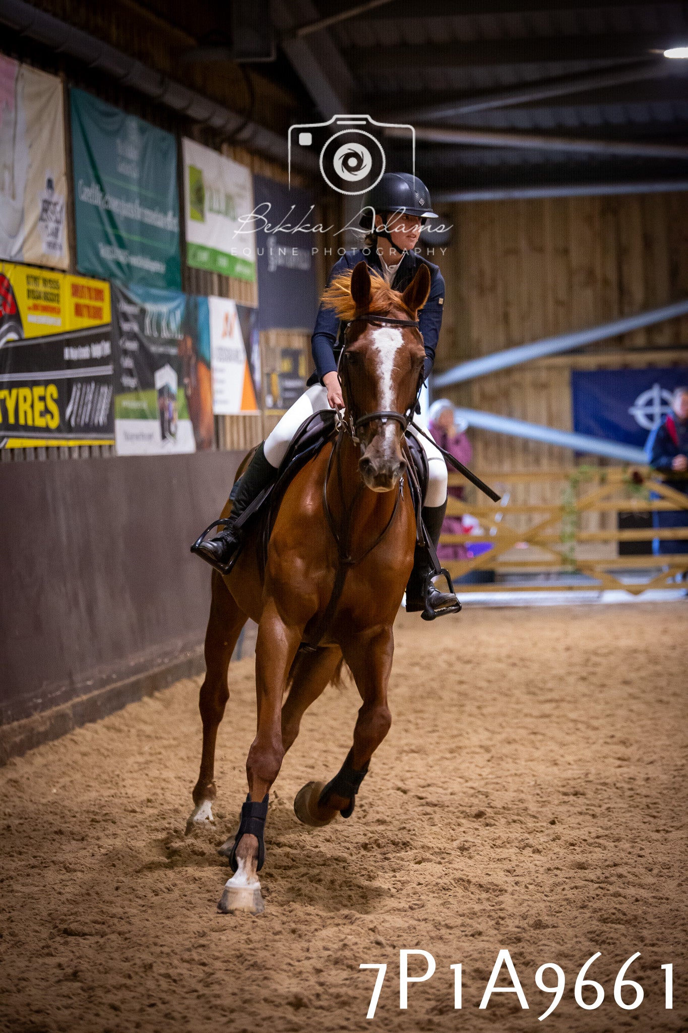 JHOYS 2025 - Senior Show Jumping - 21st September