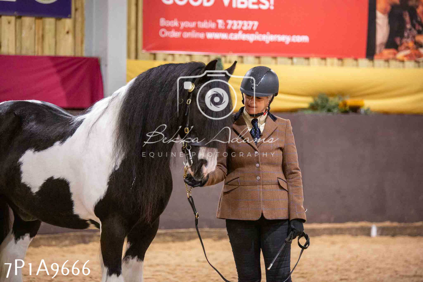 Home Farm Spring Show - Inhand Showing 23rd March 2024 - Part 2
