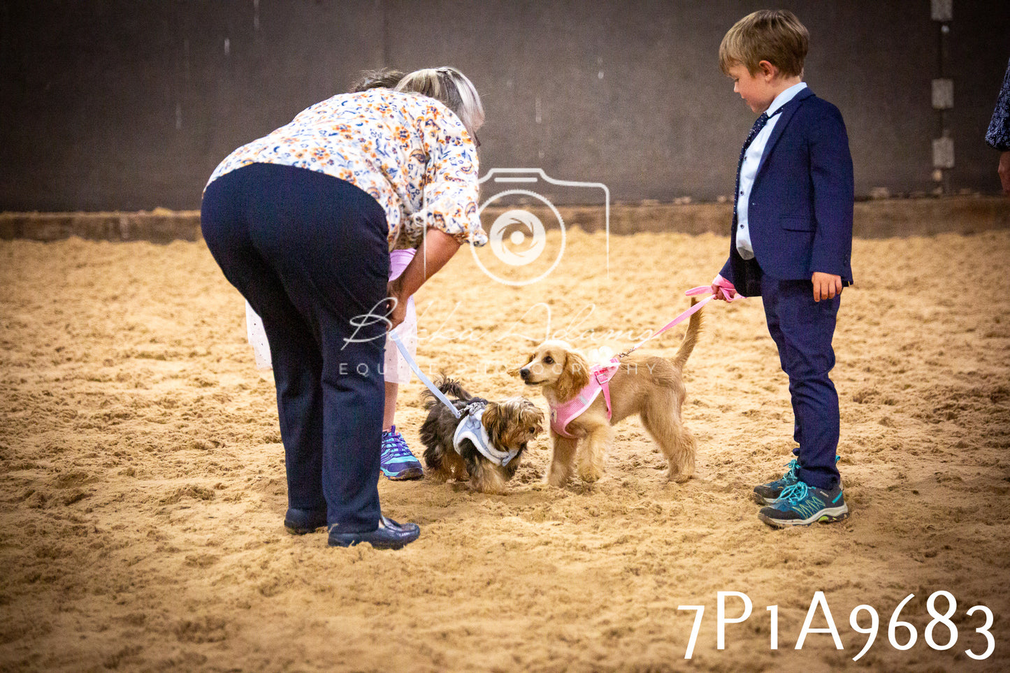 JHOYS 2025 - Dog Show - 12th September
